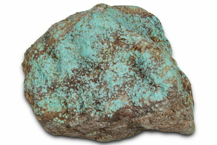 Tumbled Turquoise Specimen - Number Mine, Carlin, NV #331221